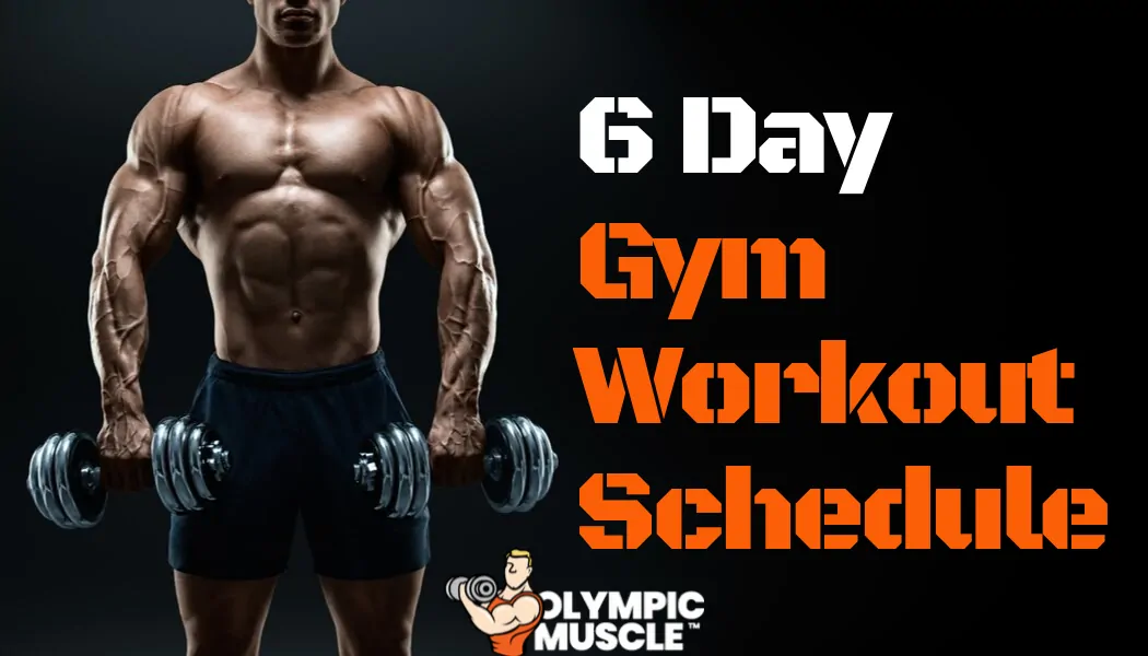 6 Day Gym Workout Schedule